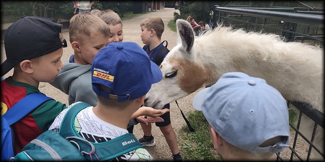 Školní výlet prvňáčků do Častolovic